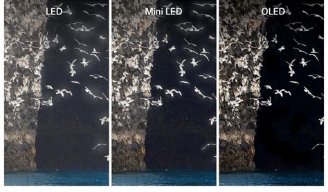 LED vs QLED vs OLED TVs, What’s the Difference? - The Plug - HelloTech