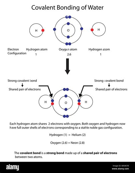 Molecular diagram of water Cut Out Stock Images & Pictures - Alamy