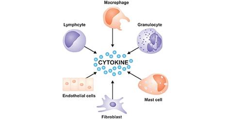 Get an Overview of Cytokines- CUSABIO