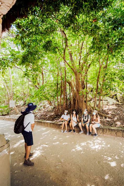 Private Tulum Ruins Tours - Tulum thru the eyes of history!