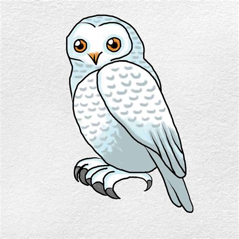 Snowy Owl Drawing - HelloArtsy