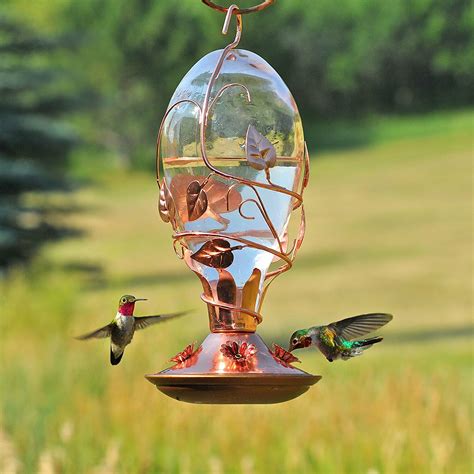 Unique Hummingbird Feeders [Our Favorites!] - Birdwatching Buzz