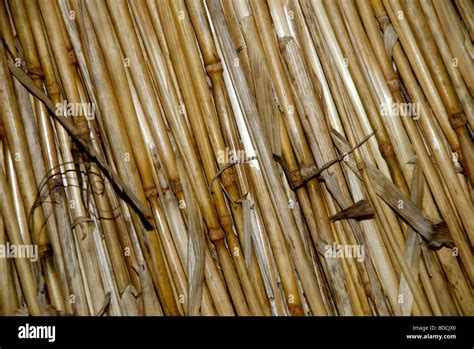 Straw roof texture building hi-res stock photography and images - Alamy