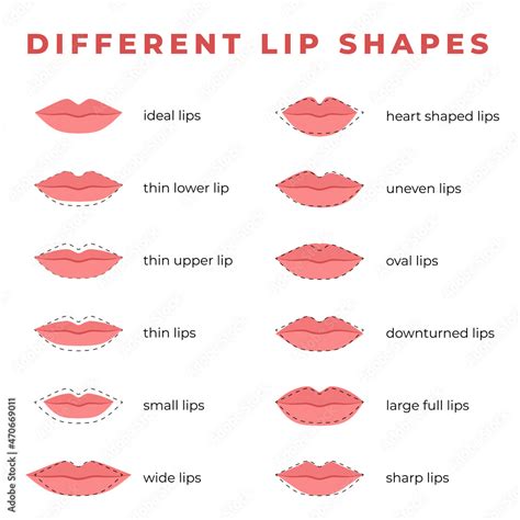 Set of different lip shapes. Stock Vector | Adobe Stock