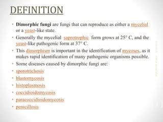 Dimorphic fungi | PPT