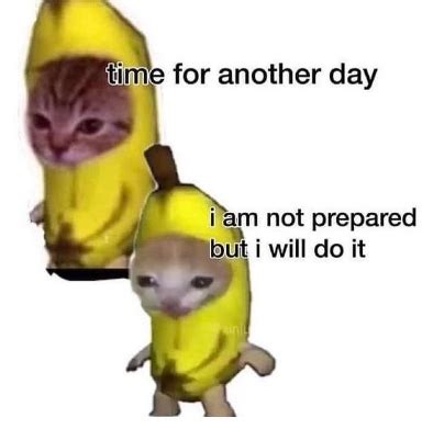 Banana Cat Blank Template - Imgflip