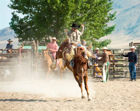 200+ Bronc Riding Stock Photos, Pictures & Royalty-Free Images - iStock