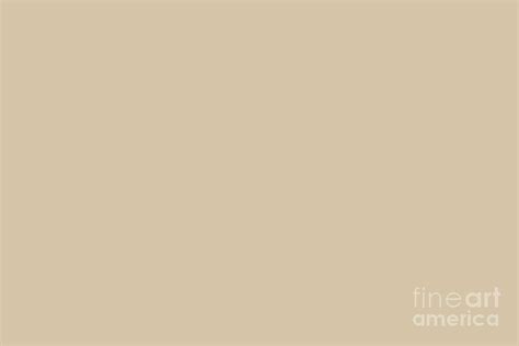 Light Beige - Soft Tan - Pastel Solid Color Parable to Behr Plateau PPU4-08 Digital Art by PIPA ...