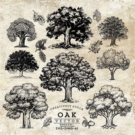 Oak Tree Svg Trees Svg Oak Svg Leaf Tree SVG Oak Tree - Etsy