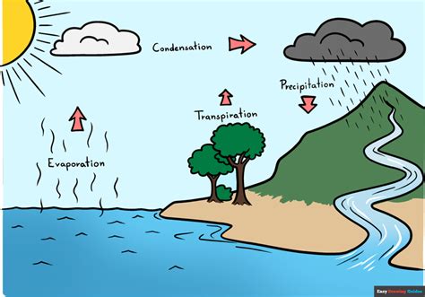 Water cycle: Introduction, Steps, Importance, and Human Impacts