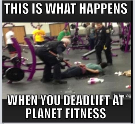 where is planet fitness meme - meyette-steggeman