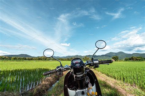 Rice field ,Aerial view of rice fields | Nature Stock Photos ~ Creative ...