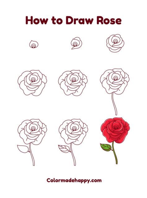 How to Draw a Rose: A Step by Step Guide