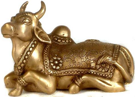 Why is the Cow Sacred to Hindus?