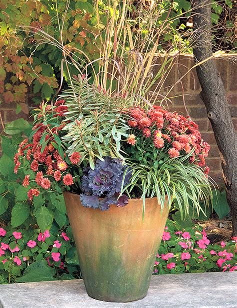 Fall Containers with Ornamental Grasses | Garden Gate