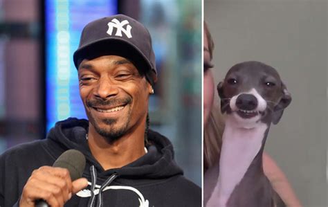 Snoop Dogg's Secret Soft Spot That Everyone Needs to Know | BarkPost