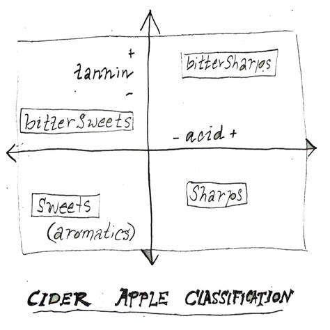 Apple Varieties at Eve's Cidery | Eve's Cidery