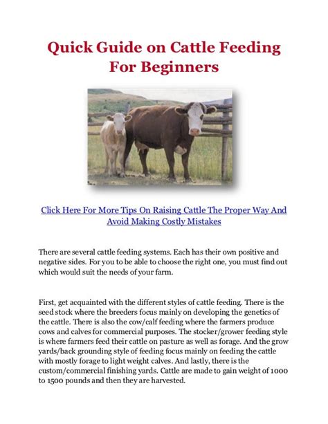 Quick Guide on Cattle Feeding For Beginners