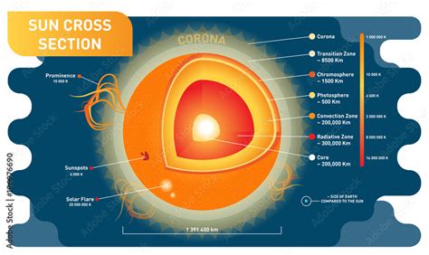 Sun cross section scientific vector illustration diagram with sun inner layers, sunspots, solar ...