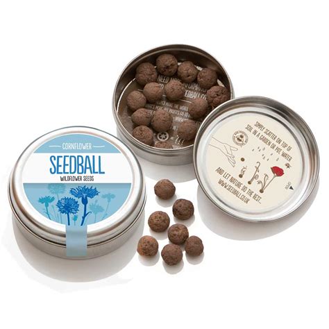 Seedball Individual Wildflowers Cornflower - My Green Pod | Sustainable Products & News