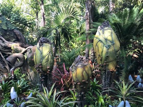 Integrating Plants and Animals into Pandora – The World of AVATAR