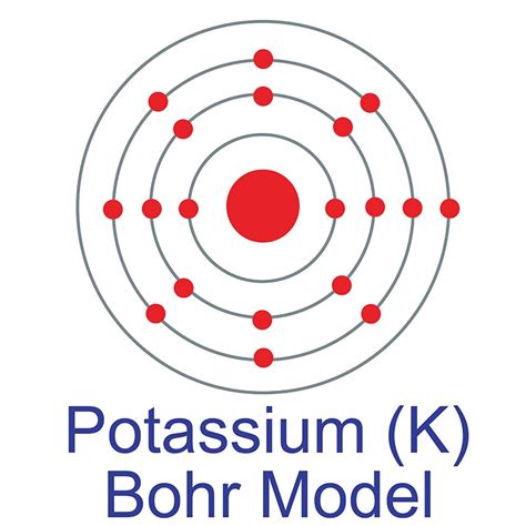 Bohr Diagram Of Potassium