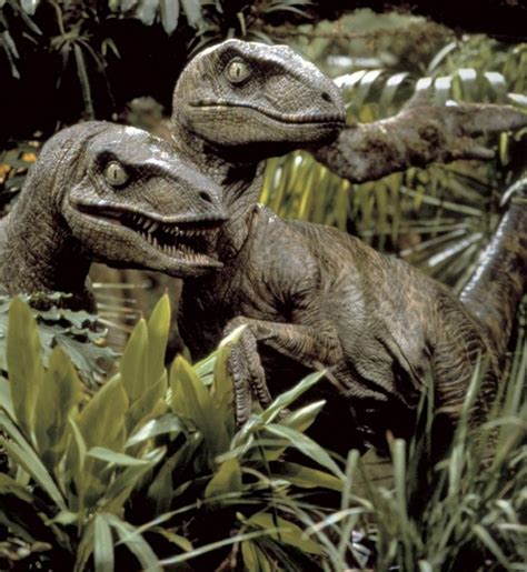 deinonychus | Jurassic park, Jurassic park 1993, Jurassic park raptor