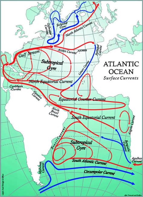 North Atlantic Ocean Currents Map - ocean wildlife