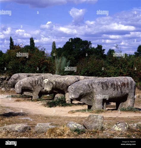 Celtiberian hi-res stock photography and images - Alamy