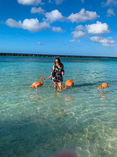 Everything you need to know about visiting Flamingo Beach, Aruba! — The Sweetest Escapes