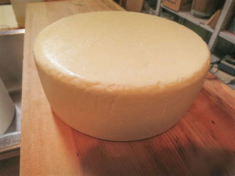 Bel Paese ... a recipe | Cheese | Cheese, How to make cheese, Food recipes