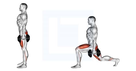 Dumbbell Rear Lunge - Guide, Benefits, and Form