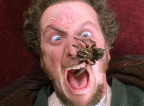 Home Alone's Daniel Stern Recreates Marv's Famous Tarantula Scene - E! Online - CA