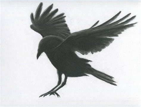 Charcoal Crow, 11"x14" ORIGINAL Crow Drawing, Charcoal Raven , Raven drawing, Crow Sketch, Crow ...