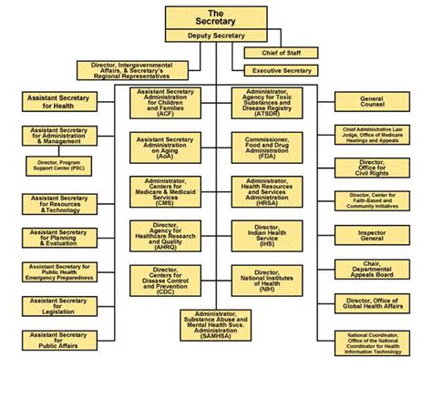 Hhs Organizational Chart | amulette