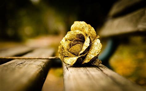 Rose Gold Ultra Hd Wallpaper