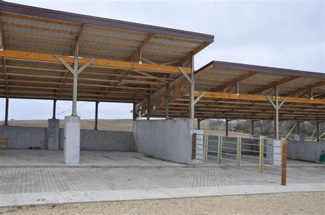 Modern Cattle Shed Design