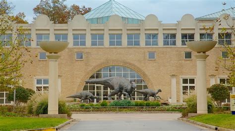 6 Things to Love About Fernbank Museum of Natural History - Atlanta Parent