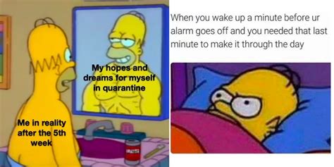 The Simpsons: 10 Memes That Perfectly Sum Up Homer As A Character