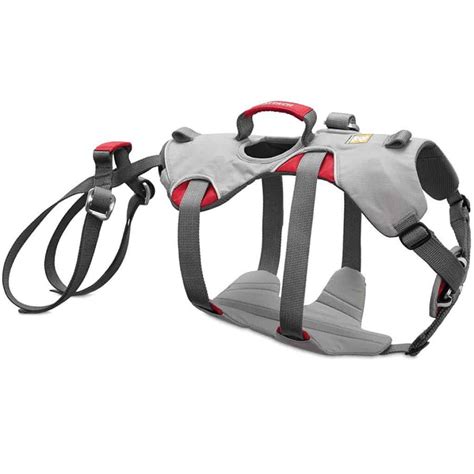 7 Best Dog Harness For Hiking And Camping In 2024