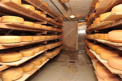 Cow milk cheese — Stock Photo © vision.si #65631439