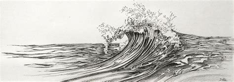 Surf Drawing, Black Pen Drawing, Skulls Drawing, Graphite Drawings, Ink Pen Drawings, Ink ...