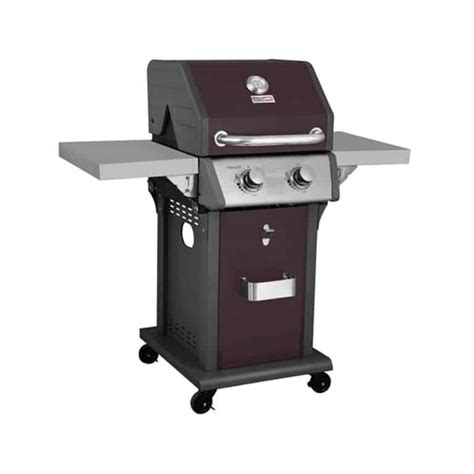 Royal Gourmet 2 Burner Patio Propane Gas Grill Review