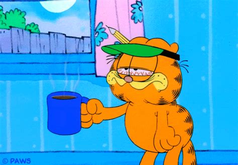 Garfield GIFs - Get the best GIF on GIPHY