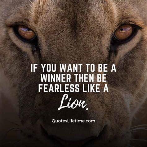 150+ Lion Quotes And Sayings With Images For Motivation