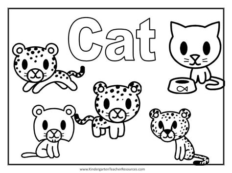 Animal Coloring Pages