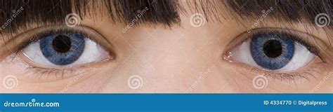 Sapphire-blue eyes stock photo. Image of colour, lenses - 4334770