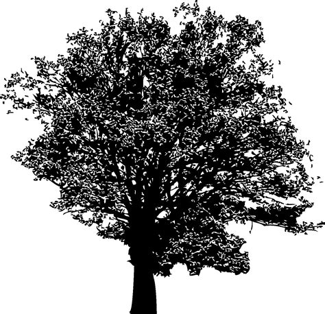 Free Small Tree Silhouette, Download Free Small Tree Silhouette png images, Free ClipArts on ...