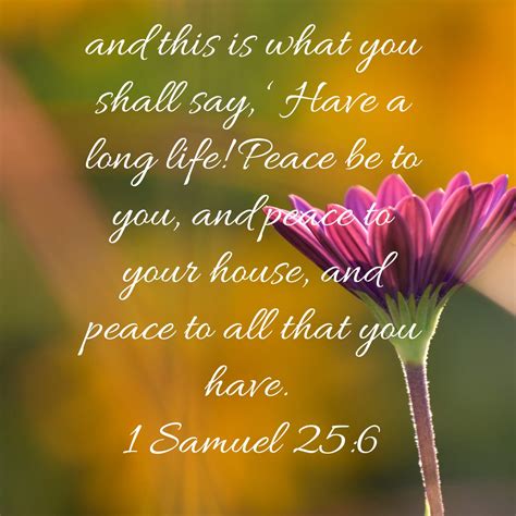 PEACE TO YOU!!! | Amplified bible, Bible apps, Bible versions