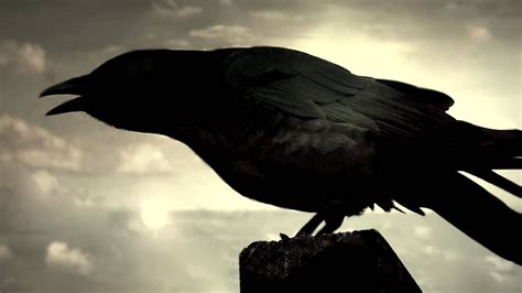 31 Scary Story Nights: October 9th "The Raven" - iHorror | Horror News and Movie Reviews